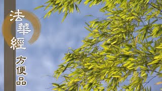 【靜思妙蓮華】法華經方便品 - 堅定道心入法 - 20200710 第372集