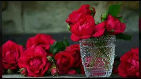 سورة يونس الشيخ ياسر الدوسري. (10)