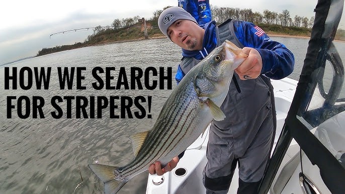 DO THIS When Striper Fishing is Tough. PROS make this Simple