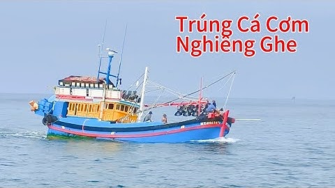 Ghe Mành Pha Trúng Cá Cơm Chạy Nghiêng Ghe