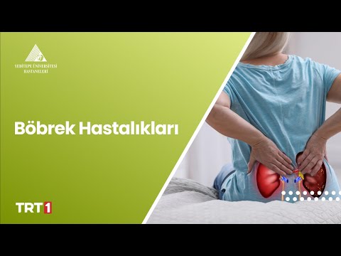 Böbrek Hastalıkları