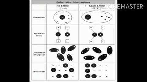 Ionic Polarization