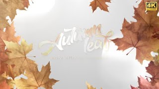 Top After Effects Projects: Autumn Leaf Reveal + Free Font screenshot 5