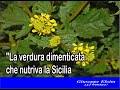 La verdura dimenticata che nutriva la Sicilia