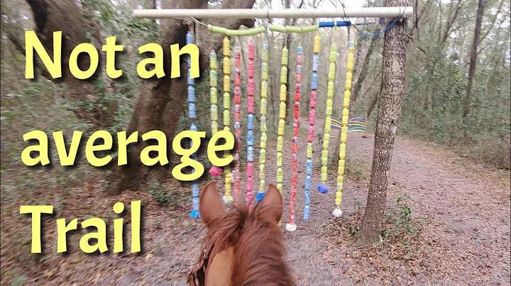 So many crazy obstacles- not your average trail ride