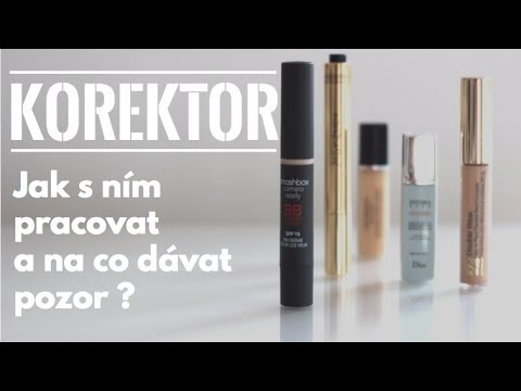 Video: Co Potřebujete Vědět, Abyste Mohli Dálkově Pracovat Jako Korektor?