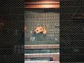 Wall Panel Urban Company Beautiful home Mumbai Maharashtra #wallpanel #interiordesign #homedecor