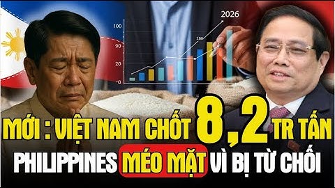 Việt Nam Từ Chối Đơn Hàng Gạo Philippines – Chiến Lược Xuất Khẩu 8,2 Triệu Tấn 2025