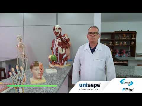 Biomedicina – áreas de atuação e o Curso na UNISEPE
