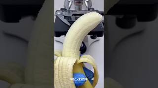 What does banana look like und…