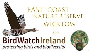 East Coast Nature Reserve in County Wicklow