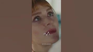 Cheb Momo OXYGENE أوكسيجين فعشقك تعميت تصميم فيديوهات اكسلورrai Algerie تيك توك للبنات حلوه 