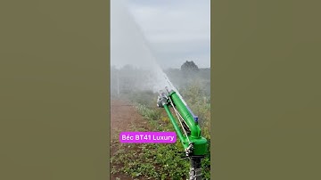 Béc tưới BT41 Luxury có họng phun tím, răng cưa đồng, ty inox hất ngược