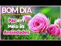 Paz em Meio às Ansiedades I Mensagem de Bom dia