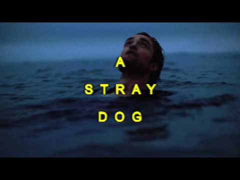 Robert Pattinson - Stray Dog [Interview Magazine BTS]