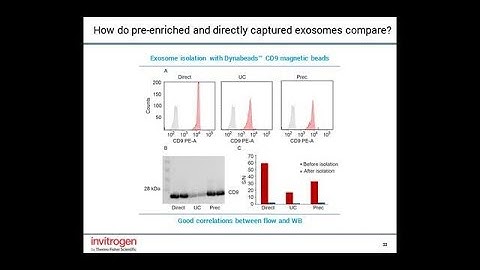 Exosomes Isolation and Monitoring: From Cell Culture To Clinically Relevant Research Samples
