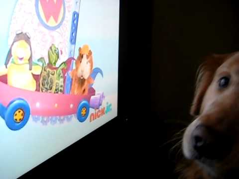 Wonder Pets Save The Wonder Pets Youtube - Gambaran