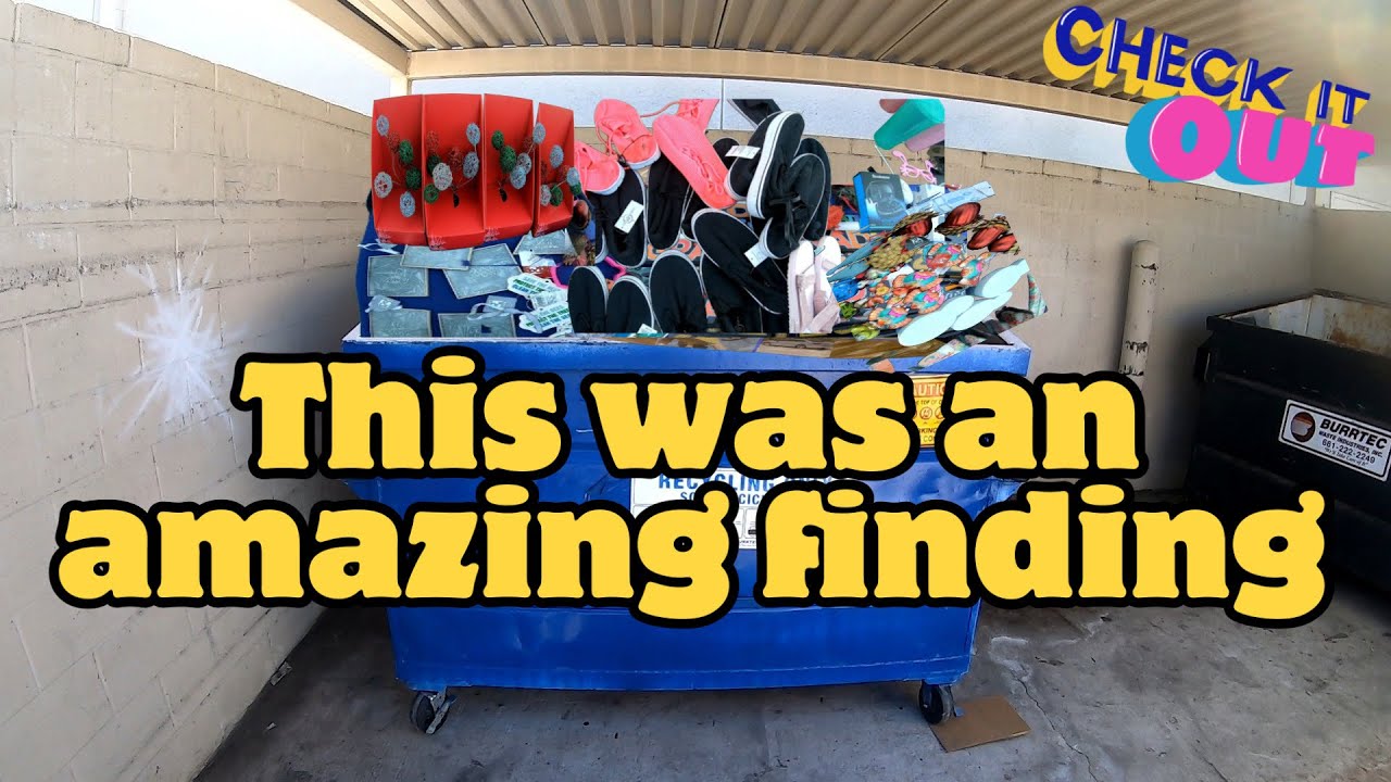 DUMPSTER DIVING - THE STORES LEFT ME SURPRISES OF BRAND-NEW STUFF IN EVERY DUMPSTER.