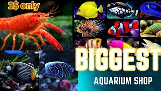 Biggest Aquarium Shop in Canada | Rare fish Collection | Lyf Type | Big AI Supercenter | Marine Fish