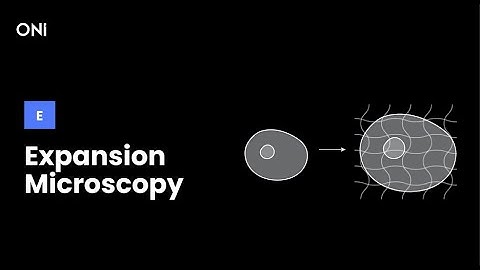 What is Expansion Microscopy?