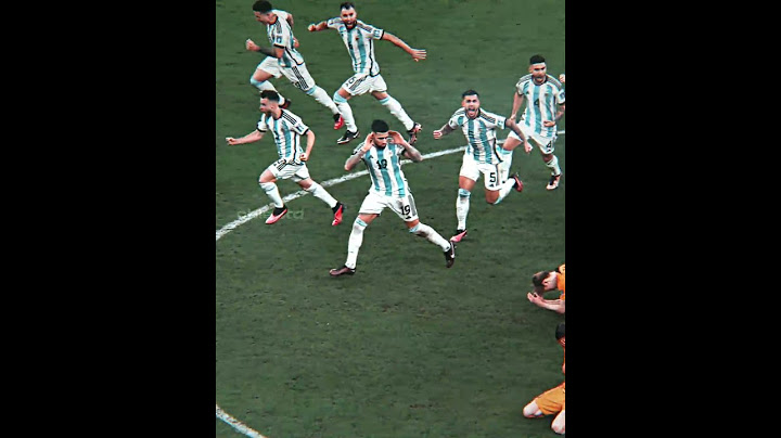 Argentina vs Netherlands Fight World Cup 🔥