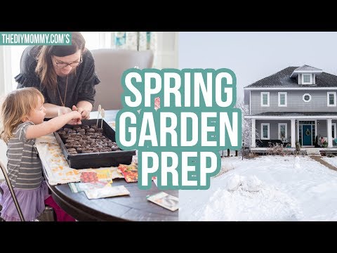 spring-garden-preparation-|-zone-3-gardening