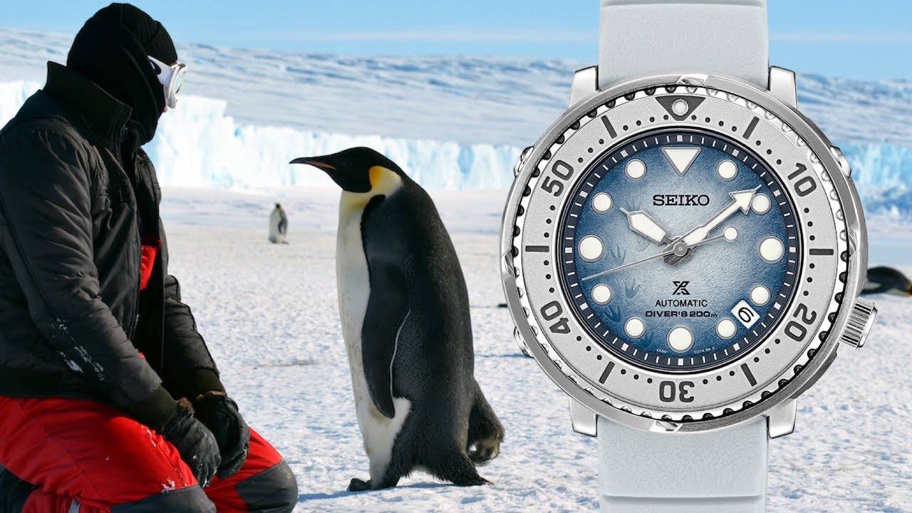 SPECIAL Edition Seiko Prospex Baby Tuna SRPG59K1 Save the Ocean 4K Review &  Unboxing - I love it :-) - YouTube
