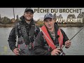 Pche du brochet dans une gravire avec le jerkbite  westin fishing france