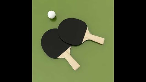 3D Model of Ping Pong Table Review