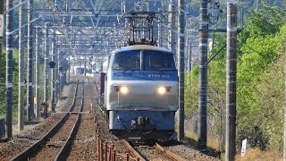 2016/04/30 JR貨物 空コキ多数 【5085レ】EF66-102[吹]牽引