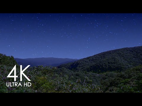 ASMR 4K 8時間 - 奄美大島の夜の森の音 - 睡眠・勉強・読書に