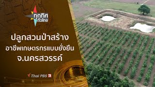 ปลูกสวนป่าสร้างอาชีพเกษตรกรแบบยั่งยืน จ.นครสวรรค์ : ทุกทิศทั่วไทย