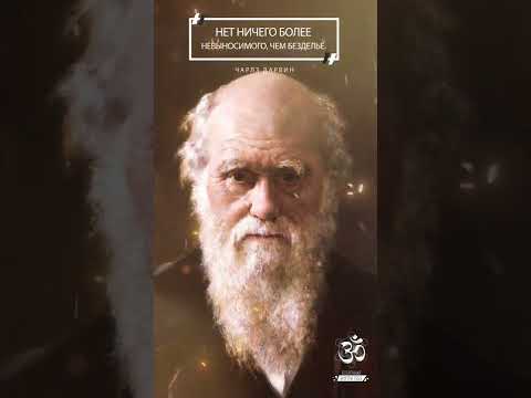 Чарлз Дарвин - Нет ничего более невыносимого, чем безделье #shorts #sketch #youtubeshorts