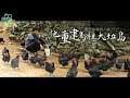 【微視蘋】梅花鹿做伴　他獨居廢墟無人島3千日 | 台灣蘋果日報