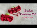 Crochet strawberry hat for cat  dog   easy cat hat diy tutorial 