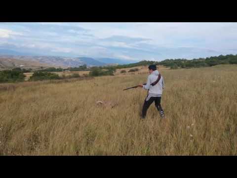 მეწყერზე ნადირობა 2016/ mweyrze nadiroba2016