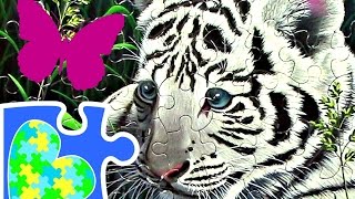 A Strong TIGER and a Gentle BUTTERFLY Jigsaw Puzzle! screenshot 4