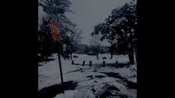 what it feels like to forgive yourself.