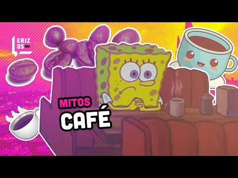 Café mitos y verdades | Erizos vs mitos de Internet | Erizos