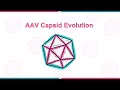 VectorBuilder Seminar: AAV Capsid Evolution