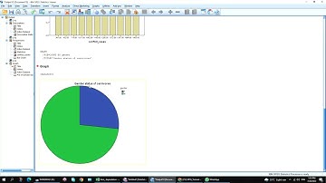 SPSS _Tutorial : Pie Graph creation