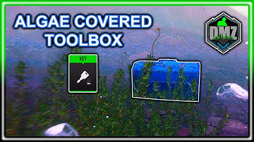 Algae Covered Toolbox Location DMZ