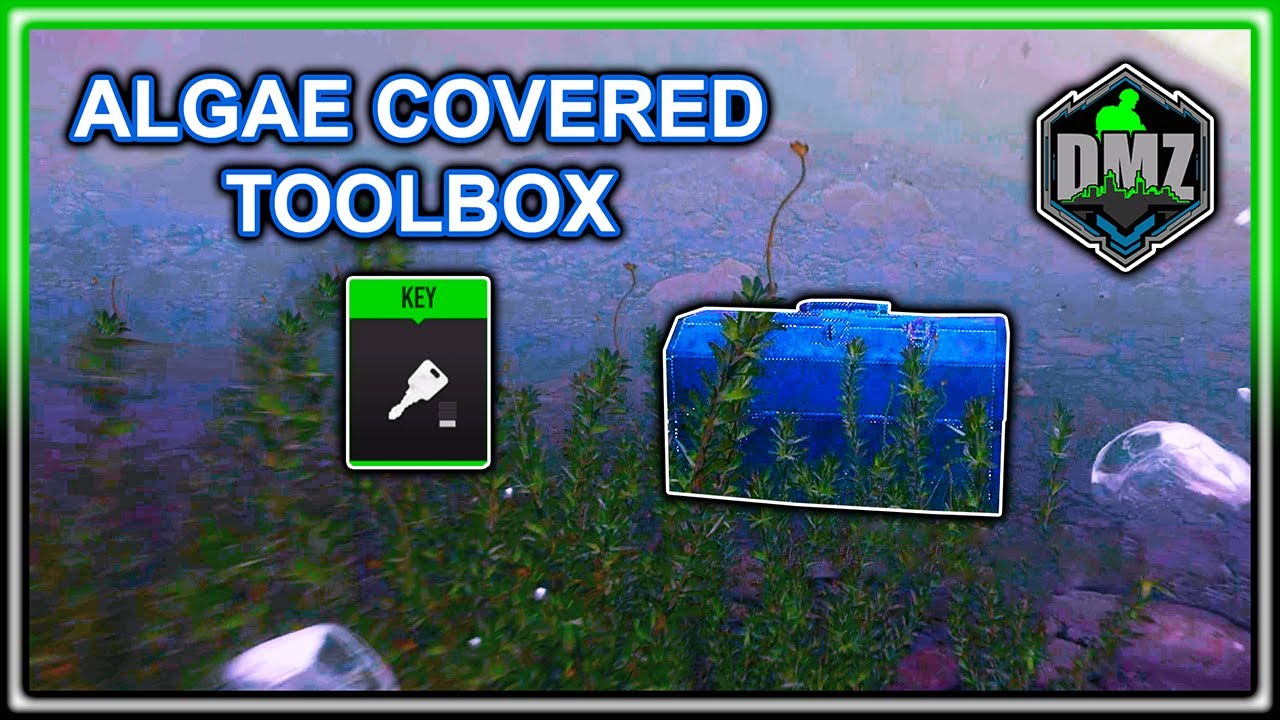 Algae Covered Toolbox Location DMZ YouTube algae-covered-toolbox-location-dmz-youtube