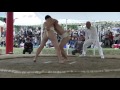 種子島のイベント：第49回種子島相撲大会団体戦ダイジェスト