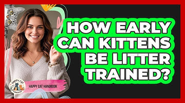 How Early Can Kittens Be Litter Trained? - Happy Cat Handbook