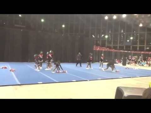 ycoa cheerleading