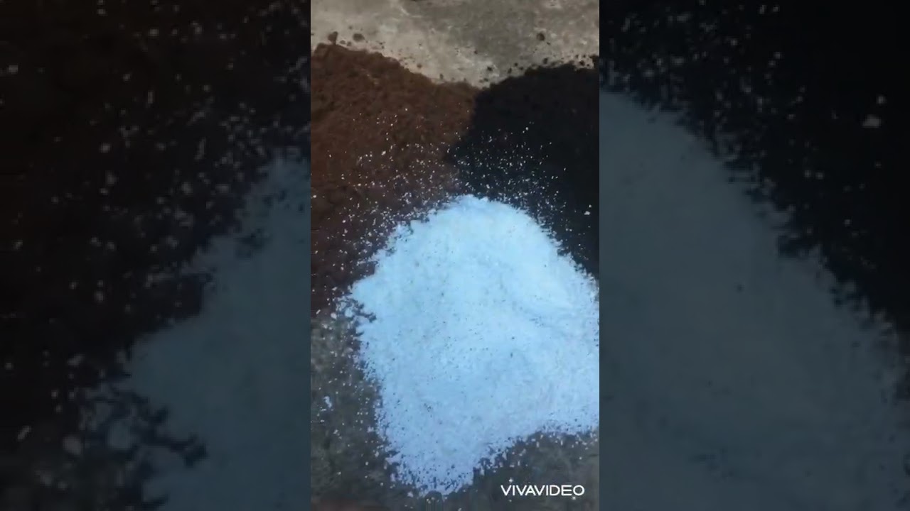 Preparação de solo orgânico para cultivo de canabis automáticas /seeds bank Brasil