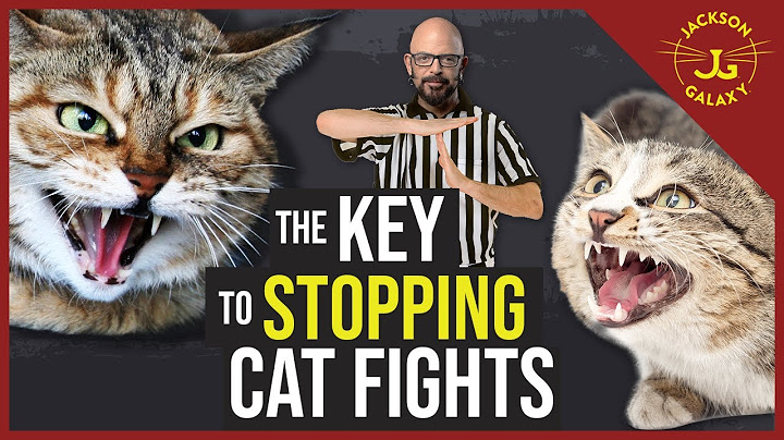 DON'T LET IT HAPPEN!