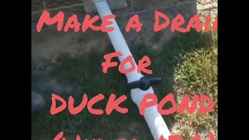 DIY  Duck POND Drain. (Under $20)
