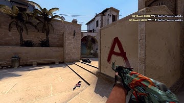 CS:GO -  NiP f0rest vs QeeYou (ESWC 2015)